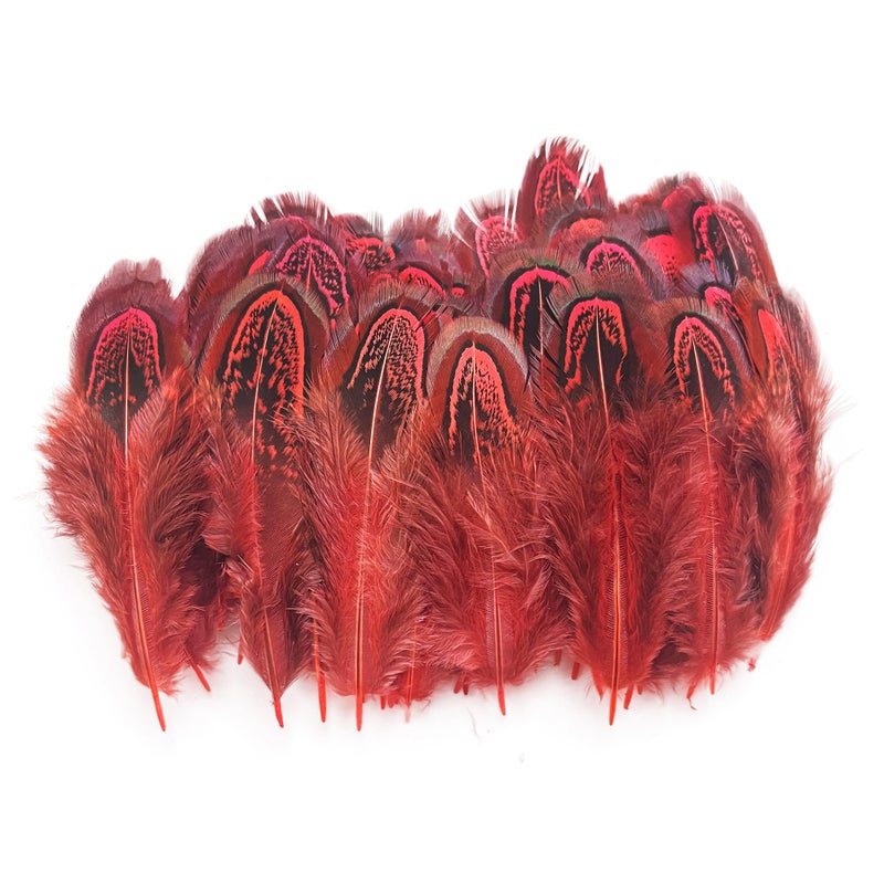 HAPPY FEATHER 100 pcs Natural Pheasant Plumage Feathers 2-3 Inches Plumage Feathers for Sewing Crafts Clothing Decorating Accessories -Red - Image 1